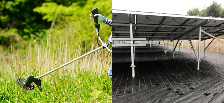 家庭用除草剤特集