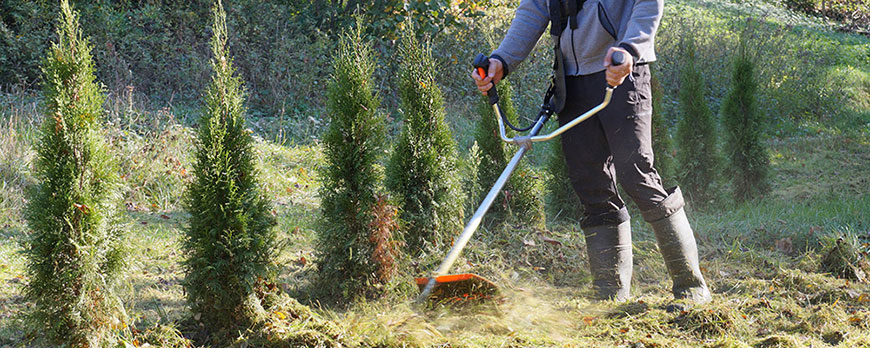 草刈機・刈払機のレンタル