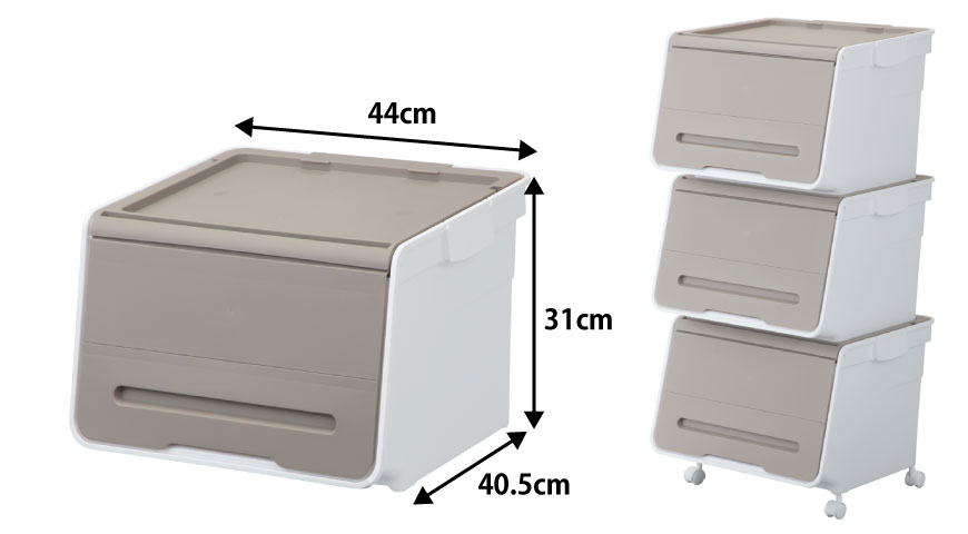 R　レギュラーサイズ