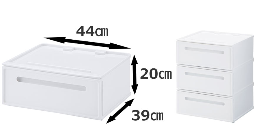 R　レギュラーサイズ