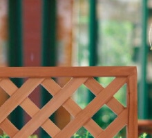 お庭のアクセントとして