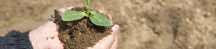 おすすめ培養土特集