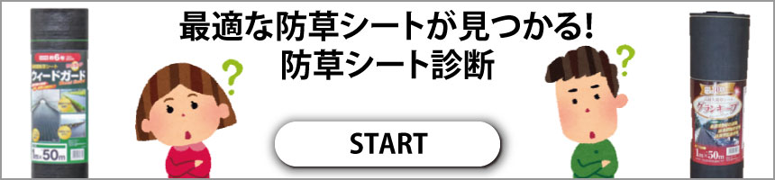 �V�[�g�f�f