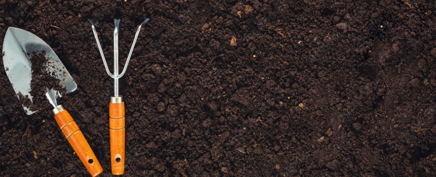 �y�̏�ɃX�R�b�v