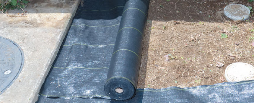 �h���V�[�g��\��A���ߋ�ŌŒ肷��