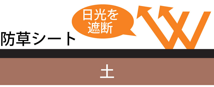 �G�����L�т邽�߂ɕK�v�ȓ������Ւf