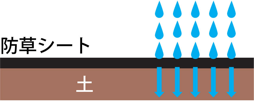 ���ʂ���������ϋv��