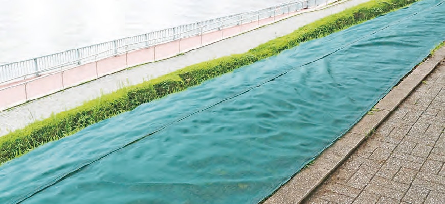 �����E�Ζʗp