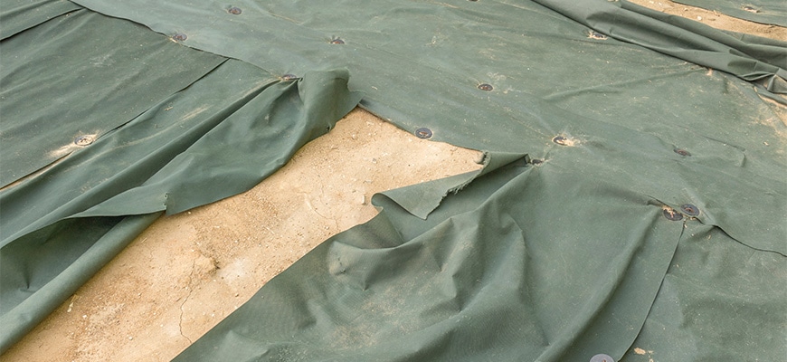 �ϗp�N�������߂�