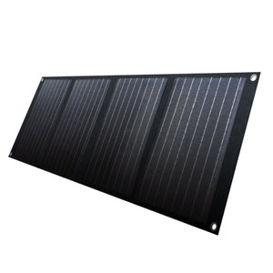 �C�`�l���A�N�Z�X�@�\�[���[�p�l���b�x�f�m�t�r�@�r�P�O�O�v�@�r�o�|�P�O�O�a