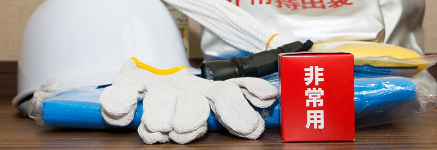 �ЊQ���̔���