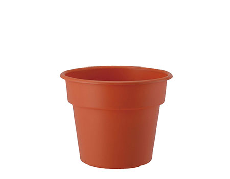 約9～15cm（3～5号）