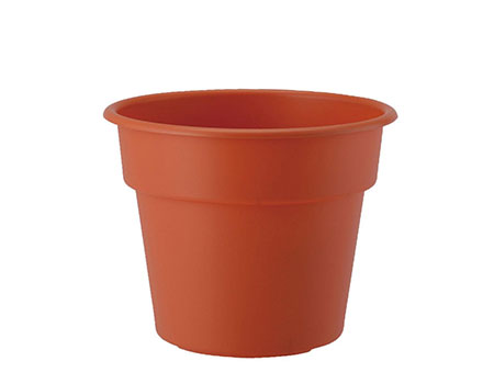 約18～25cm（6～8号）