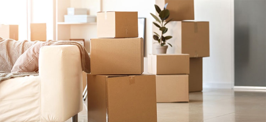 ���z���p�i���W