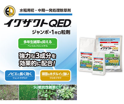 コスト対効果のバランスで選ぶなら　イグザクトQED