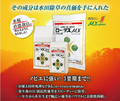 ノビエに対する効果で選ぶなら　ロータスＭＸ