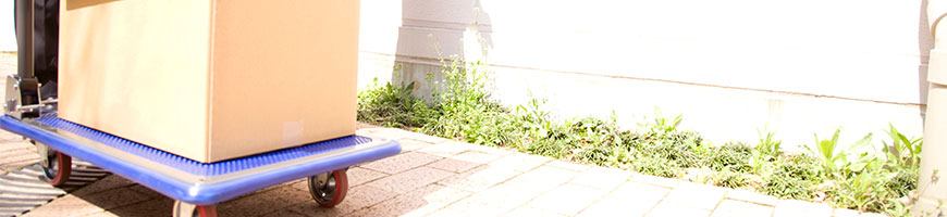 �������ߑ�ԓ��W