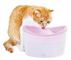 ペットの給水器特集