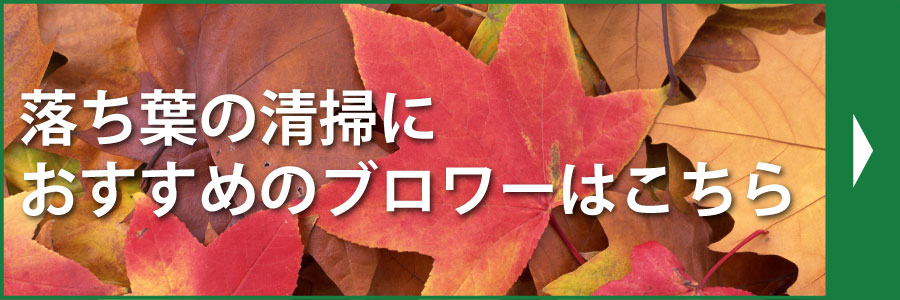 �����t�̐��|�ɂ������߂̃u�����[�͂�����