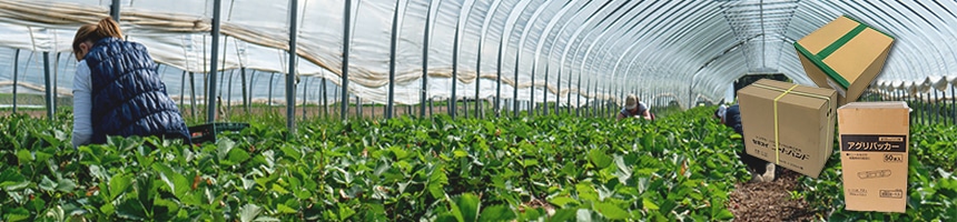 農業資材まとめ買い特集