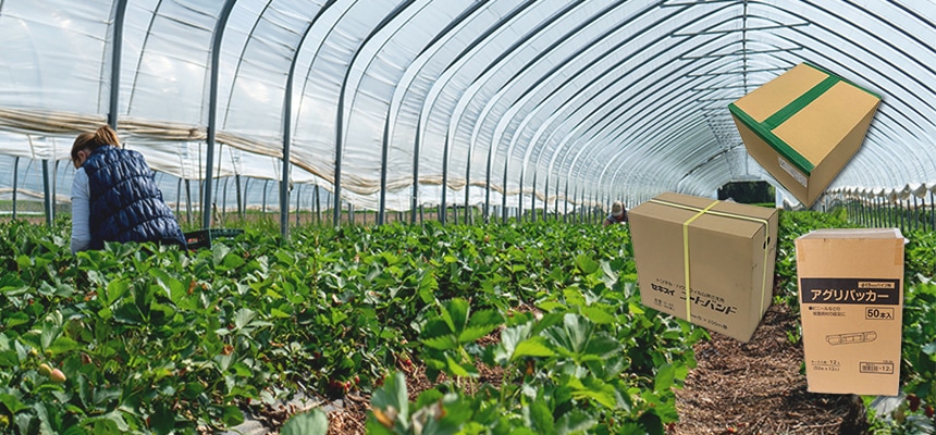 農業資材まとめ買い特集