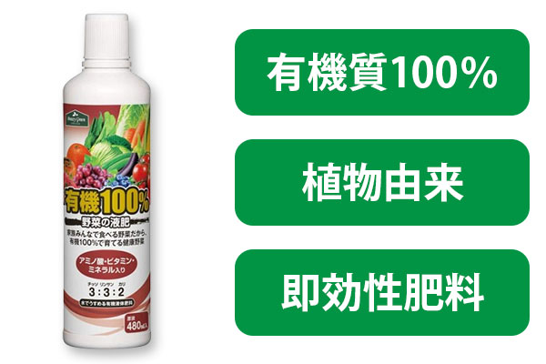 �L�@�P�O�O���t��@�S�W�O����