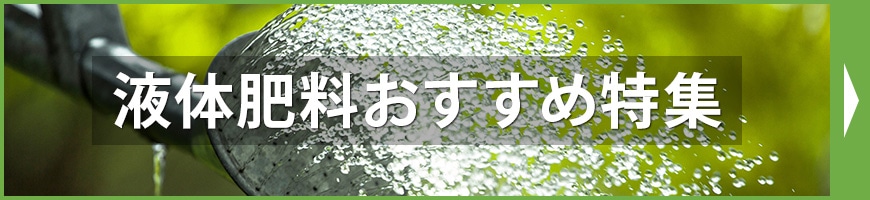 �t�̔엿�������ߓ��W