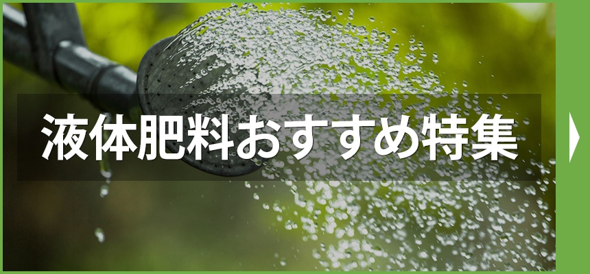 �t�̔엿�������ߓ��W