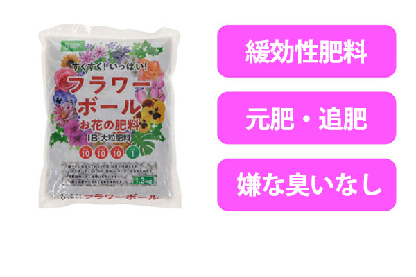 �t�����[�{�[��