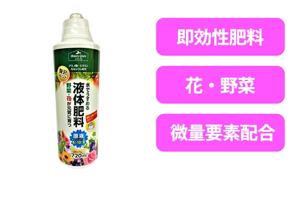 �X�^�[�K�[�h�v���X�`�k�@�W�T�O����