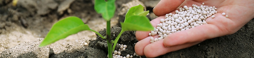 �ƒ뉀�|�p�엿���W