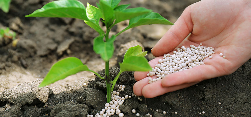 �ƒ뉀�|�p�엿���W