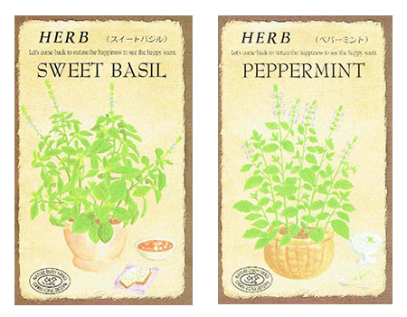 ハーブの種 2Pセット