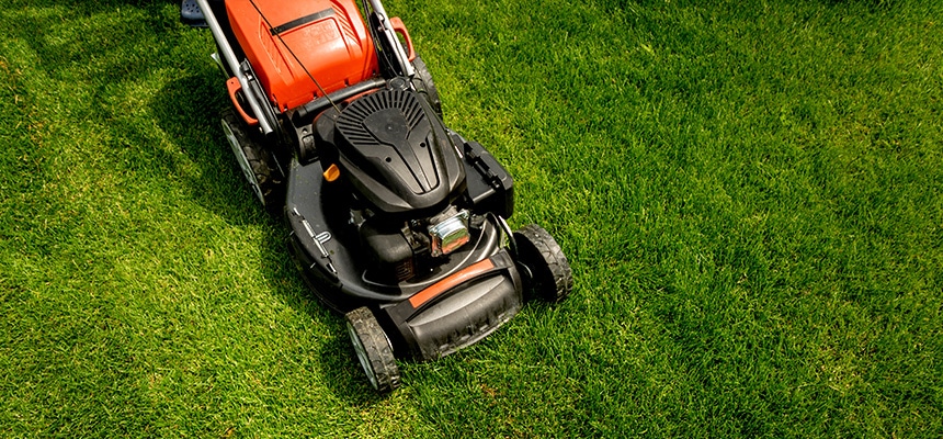 おすすめ芝刈機特集