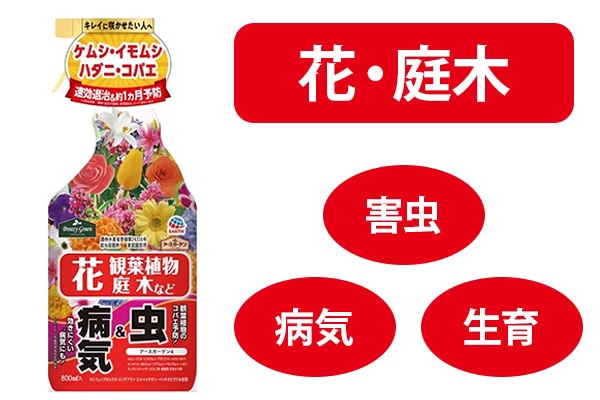 �t�����[�p���[ 850ml