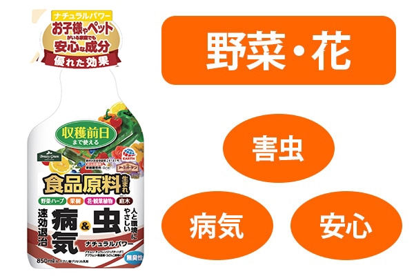 �i�`�������p���[�@�W�T�O����