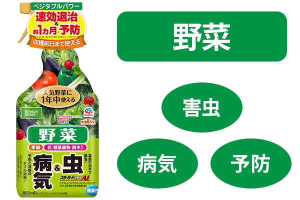 �X�^�[�K�[�h�v���X�`�k�@�W�T�O����