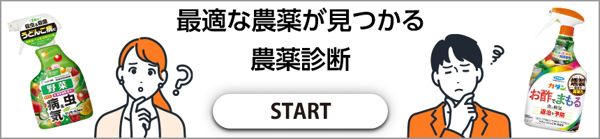 家庭用農薬診断