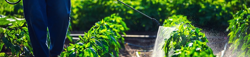 �ƒ뉀�|�p�_����W