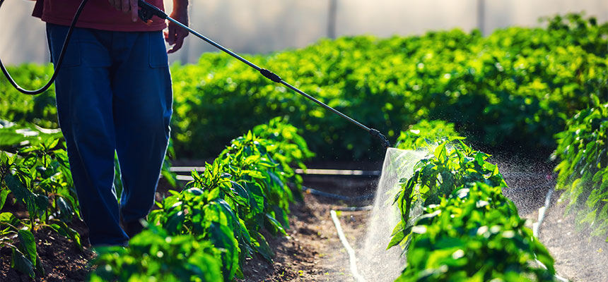 �ƒ뉀�|�p�_����W