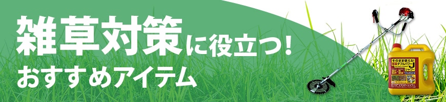 雑草対策に役立つ!おすすめアイテム