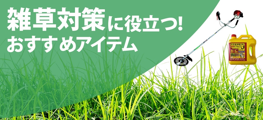 雑草対策に役立つ!おすすめアイテム
