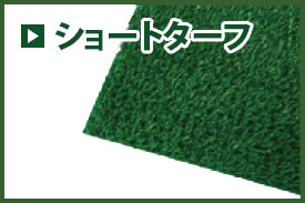 ショートターフ