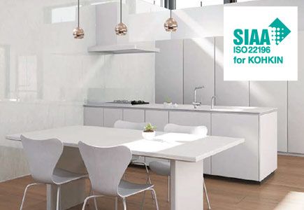 大建　グラビオLA