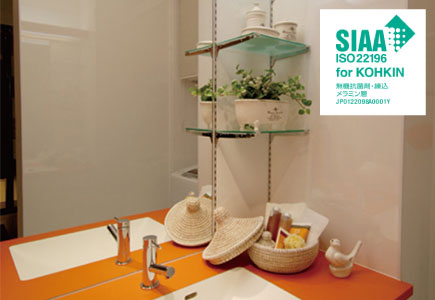 アイカ セラール