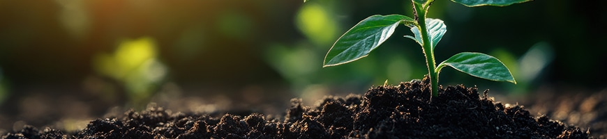 土壌分析サービス