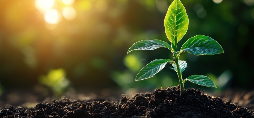 土壌分析サービス