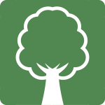 庭木の手入れサービス