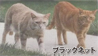 ブラックネット