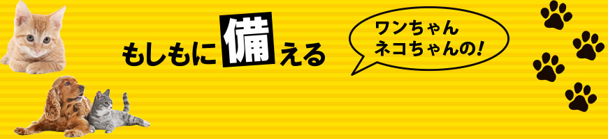 もしもに備える　ワンちゃんネコちゃんの防災グッズ特集